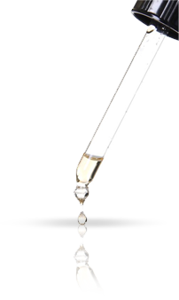 v_history-pipette_2015